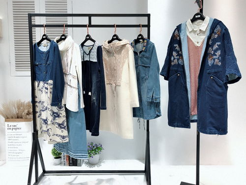 高端大氣精品休閑時尚女裝認(rèn)同2018年新款秋冬裝